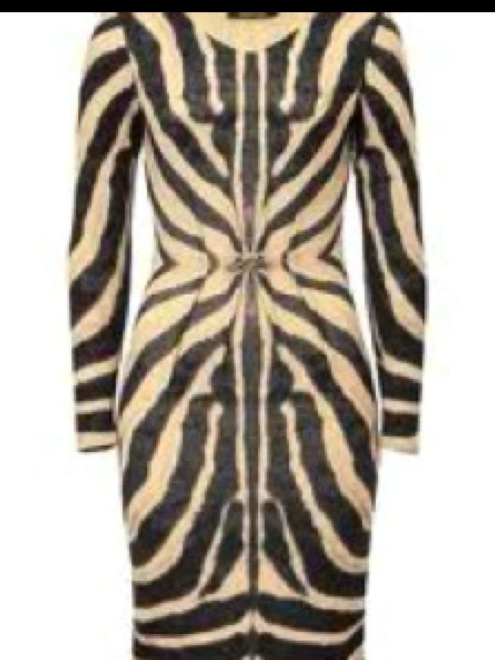 Roberto Cavalli Beige and Black Zebra-Print Long Sleeve Bodycon Dress